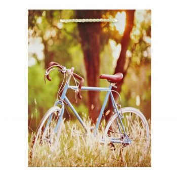 Ajándéktáska Kék biciklis 18x10x23 cm