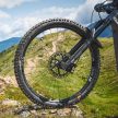 Magura féktárcsa 203mm 6csavaros MDR-P