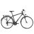 Alpina ECO T10 férfi trekking kerékpár (L) Szürke