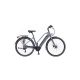 Neuzer Mantova 28" 19 matt szürke e-bike